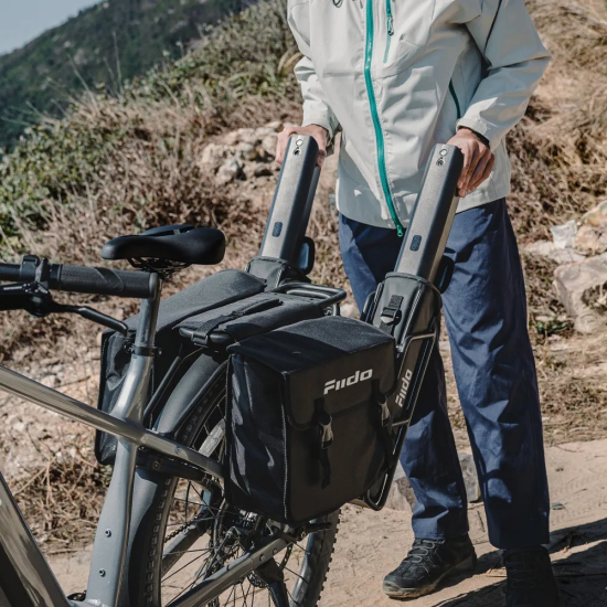 Fiido Nomads Pro L