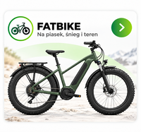 Fat Bike
