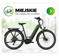 Miejskie