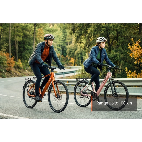 Mokwheel Flint Pro