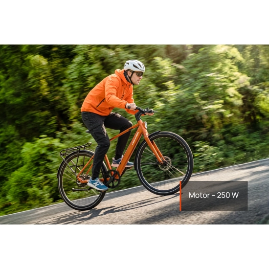 Mokwheel Flint Pro