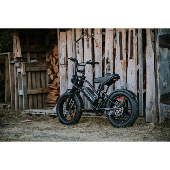Rattan Mukkpet Racer