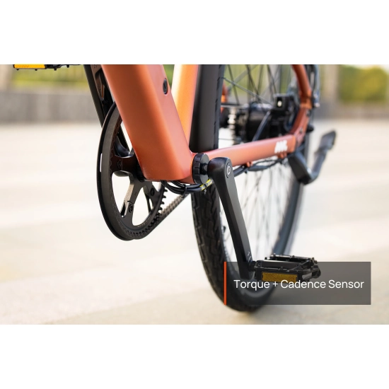 Mokwheel Flint Pro