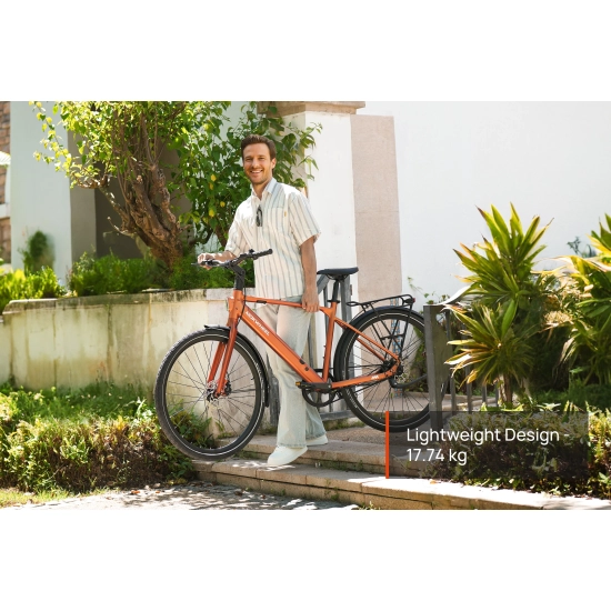 Mokwheel Flint Pro